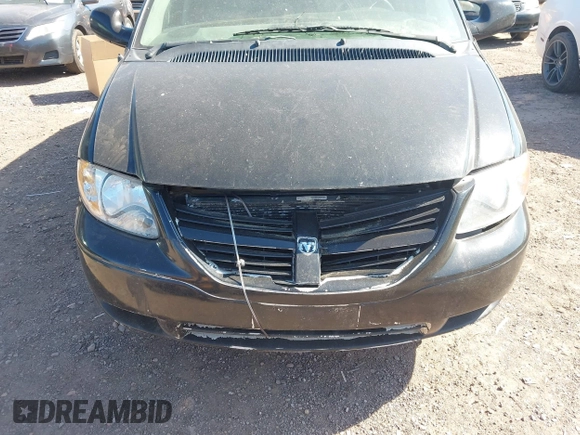 2006 Dodge Grand Caravan SE with VIN 1D4GP24R16B558664, listed as a IAAI auction lot 42025852 with 313,974 mi miles and . Bid and sale history available at DreamBid. Image 12.