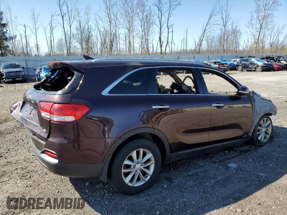 2016 Kia Sorento LX with VIN 5XYPGDA37GG058458, listed as a Copart auction lot 54210075 with Not Provided miles and Salvage Title. Bid and sale history available at DreamBid. Image 3.