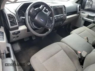 2019 Ford F-150 XL with VIN 1FTEX1EP1KKC63781, listed as a Copart auction lot 55036455 with 0 mi miles and Salvage Title. Bid and sale history available at carsss.com. Image 8.