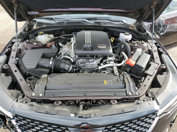 2021 Cadillac CT4 Premium Luxury with VIN 1G6DB5RK7M0110517, listed as a Copart auction lot 49531955 with NaN miles and Salvage Title. Bid and sale history available at carsss.com. Image 12.