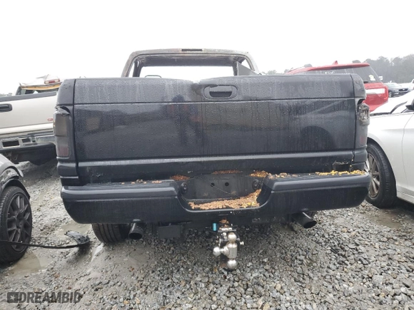 1996 Dodge Ram 1500 with VIN 1B7HF16Y2TJ189740, listed as a Copart auction lot 42768815 with 0 mi miles and Non Repairable. Bid and sale history available at carsss.com. Image 6.