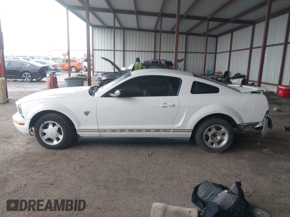 2009 Ford Mustang with VIN 1ZVHT80N095117420, listed as a IAAI auction lot 41441760 with 137,751 mi miles and . Bid and sale history available at carsss.com. Image 14.