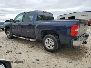 2009 Chevrolet Silverado 1500 LT with VIN 3GCEC23J19G183009, listed as a Copart auction lot 49624495 with 159,887 mi miles and Salvage Title. Bid and sale history available at carsss.com. Image 2.