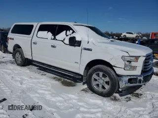 2017 Ford F-150 XL with VIN 1FTFW1EG5HKC90885, listed as a Copart auction lot 45663355 with 206,276 mi miles and Salvage Title. Bid and sale history available at carsss.com. Image 4.