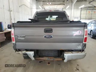 2010 Ford F-150 XL with VIN 1FTFW1EV5AKE16361, listed as a Copart auction lot 49160425 with 125,483 mi miles and Non Repairable. Bid and sale history available at carsss.com. Image 6.