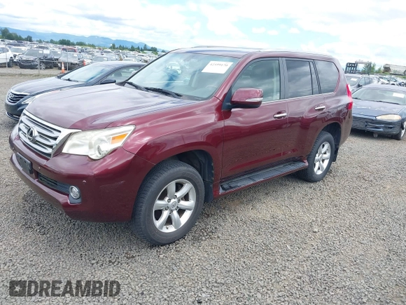 2010 Lexus GX 460 with VIN JTJBM7FX1A5013397, listed as a IAAI auction lot 42359170 with 90,288 mi miles and . Bid and sale history available at DreamBid. Image 2.