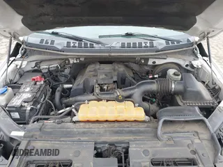 2016 Ford F-150 XL с VIN 1FTEX1CP4GKD65487, выставлен на аукционе IAAI как лот 41869782 с пробегом 164 928 миль миль и . История ставок и продаж доступна на DreamBid. Изображение 10.
