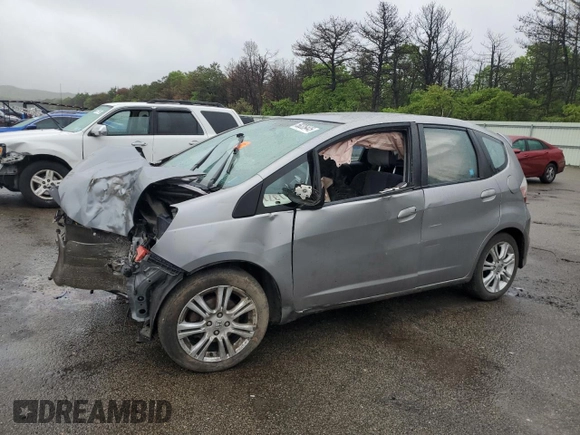 2010 Honda Fit Sport with VIN JHMGE8H40AC017384, listed as a Copart auction lot 58226445 with 138,453 mi miles and Salvage title. Bid and sale history available at DreamBid. Image 1.
