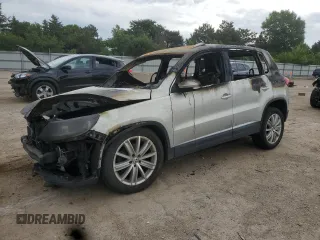 2013 Volkswagen Tiguan SEL with VIN WVGBV3AX9DW610999, listed as a Copart auction lot 61153085 with Not provided miles and Non repairable. Bid and sale history available at DreamBid. Image 1.