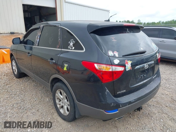 2008 Hyundai Veracruz GLS with VIN KM8NU73C08U047361, listed as a IAAI auction lot 42102918 with Not provided miles and . Bid and sale history available at DreamBid. Image 6.
