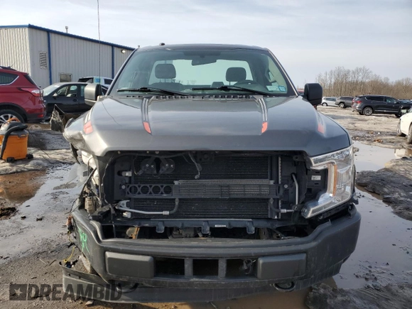 2018 Ford F-150 XL with VIN 1FTMF1EB3JKD90646, listed as a Copart auction lot 48501195 with 44,035 mi miles and Salvage title. Bid and sale history available at DreamBid. Image 5.