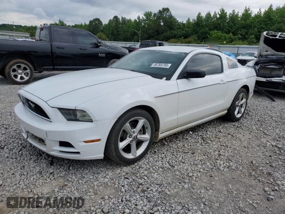 2014 Ford Mustang V6 with VIN 1ZVBP8AMXE5315092, listed as a Copart auction lot 58765755 with 177,060 mi miles and Salvage title. Bid and sale history available at DreamBid. Image 1.