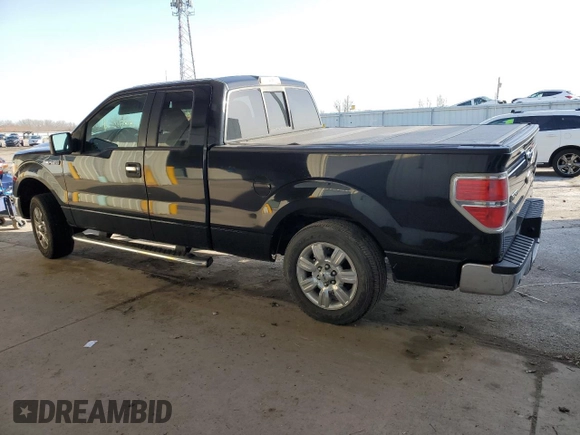 2011 Ford F-150 XL with VIN 1FTEX1CM5BFC87101, listed as a Copart auction lot 49824695 with 125,780 mi miles and Salvage Title. Bid and sale history available at carsss.com. Image 2.