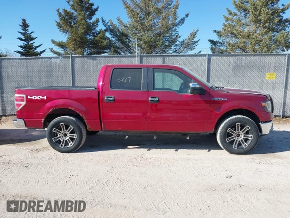 2014 Ford F-150 XL with VIN 1FTFW1EF7EFA32296, listed as a IAAI auction lot 41986227 with 206,050 mi miles. Bid and sale history available at carsss.com. Image 13.