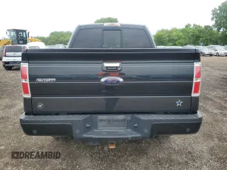 2013 Ford F-150 XL with VIN 1FTFW1ET8DFB03249, listed as a Copart auction lot 57122515 with 113,124 mi miles and Salvage title. Bid and sale history available at DreamBid. Image 6.