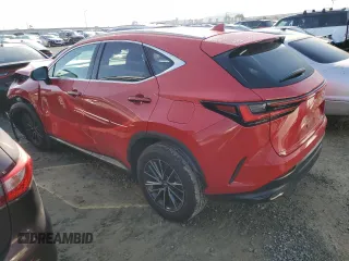 2024 Lexus NX 250 с VIN 2T2ADCAZ3RC006672, выставлен на аукционе Copart как лот 42750065 с пробегом 31 202 миль миль и Списание • Salvage title. История ставок и продаж доступна на DreamBid. Изображение 2.