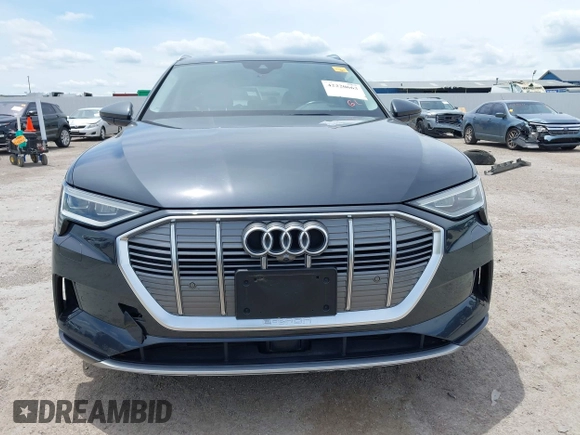 2019 Audi e-tron Premium Plus with VIN WA1LABGE6KB012565, listed as a IAAI auction lot 42220663 with 48,804 mi miles and . Bid and sale history available at DreamBid. Image 12.