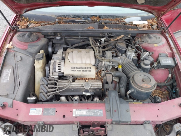 1992 Buick Regal с VIN 2G4WD54L9N1485567, выставлен на аукционе IAAI как лот 42341183 с пробегом 174 915 миль миль и . История ставок и продаж доступна на DreamBid. Изображение 10.