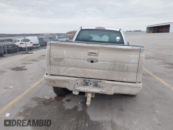 2010 Ford F-150 XL with VIN 1FTEX1CW6AFA77378, listed as a IAAI auction lot 41710467 with 203,080 mi miles. Bid and sale history available at carsss.com. Image 19.