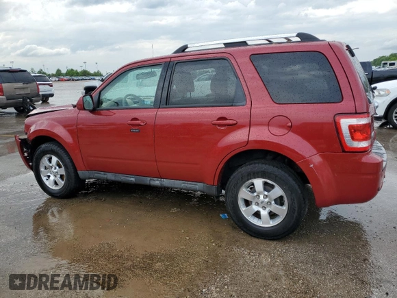 2010 Ford Escape Limited with VIN 1FMCU0E71AKB54080, listed as a Copart auction lot 55175795 with 246,064 mi miles and Salvage title. Bid and sale history available at DreamBid. Image 2.