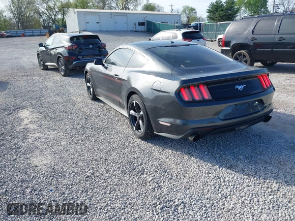 2019 Ford Mustang EcoBoost с VIN 1FA6P8TH9K5201378, выставлен на аукционе IAAI как лот 41975711 с пробегом 46 945 миль миль и . История ставок и продаж доступна на DreamBid. Изображение 3.