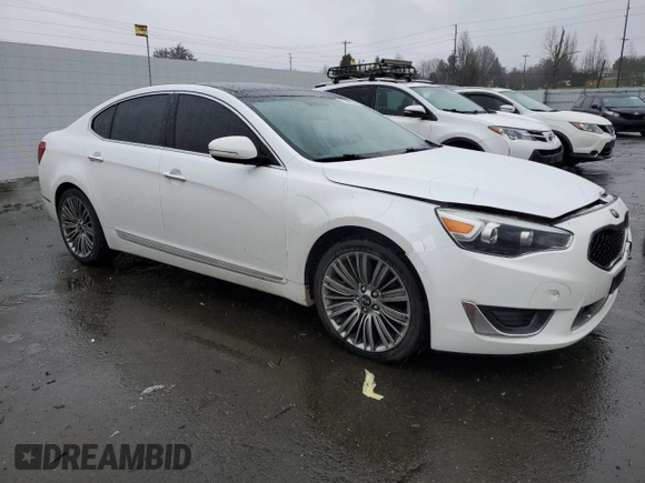 2014 Kia Cadenza Premium with VIN KNALN4D75E5156300, listed as a Copart auction lot 87351784 with 122,570 mi miles and Salvage Title. Bid and sale history available at carsss.com. Image 4.