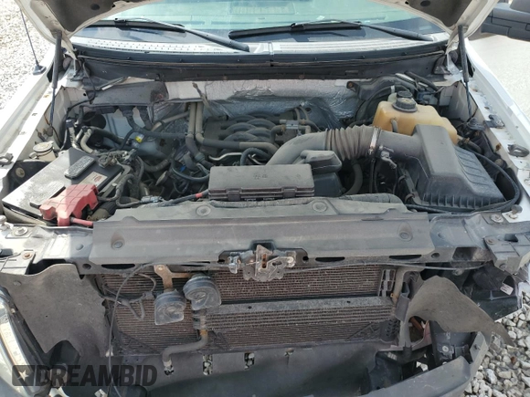 2011 Ford F-150 XL with VIN 1FTFX1EFXBKD38263, listed as a Copart auction lot 55781605 with 260,213 mi miles and Salvage title. Bid and sale history available at DreamBid. Image 11.