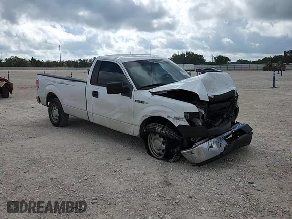 2013 Ford F-150 XL with VIN 1FTMF1CM9DKF31731, listed as a Copart auction lot 61798665 with 114,007 mi miles and Salvage title. Bid and sale history available at DreamBid. Image 13.