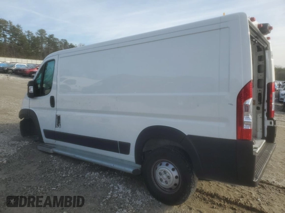 2023 Ram ProMaster Cargo with VIN 3C6LRVVG3PE565891, listed as a Copart auction lot 88542025 with Not Provided miles and Salvage Title. Bid and sale history available at DreamBid. Image 2.