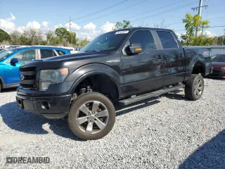 2013 Ford F-150 XL with VIN 1FTFW1CF1DKG41439, listed as a Copart auction lot 50168925 with 113,320 mi miles and Salvage Title. Bid and sale history available at carsss.com. Image 1.