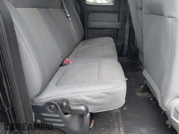 2011 Ford F-150 XL with VIN 1FTEX1CMXBFB93604, listed as a IAAI auction lot 42057008 with 251,614 mi miles and . Bid and sale history available at DreamBid. Image 8.