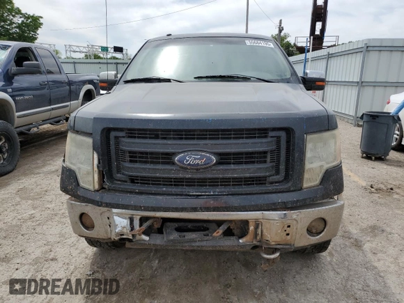 2009 Ford F-150 XL with VIN 1FTPW14V69FB18458, listed as a Copart auction lot 55684195 with 338,034 mi miles and Salvage title. Bid and sale history available at DreamBid. Image 5.