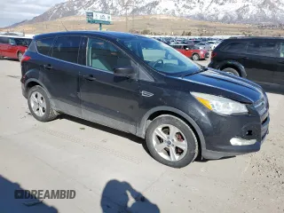 2014 Ford Escape SE with VIN 1FMCU9GX1EUB85485, listed as a Copart auction lot 45764975 with 271,702 mi miles and Salvage Title. Bid and sale history available at DreamBid. Image 4.