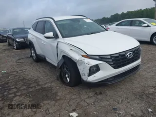 2023 Hyundai Tucson SEL with VIN 5NMJBCAE1PH201717, listed as a IAAI auction lot 42481210 with 55,943 mi miles and . Bid and sale history available at DreamBid. Image 1.