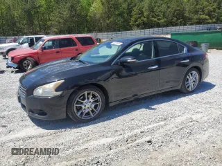 2009 Nissan Maxima SV with VIN 1N4AA51E59C819757, listed as a Copart auction lot 53070385 with 177,688 mi miles and Salvage Title. Bid and sale history available at DreamBid. Image 1.