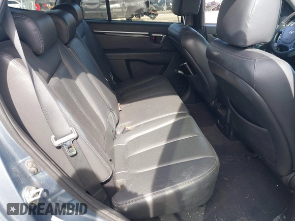 2009 Hyundai Santa Fe SE with VIN 5NMSH13E69H332648, listed as a IAAI auction lot 41948343 with 164,653 mi miles and . Bid and sale history available at DreamBid. Image 8.