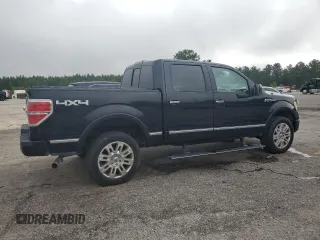 2009 Ford F-150 XL with VIN 1FTPW14V39FA46411, listed as a Copart auction lot 60041665 with 267,792 mi miles and Salvage title. Bid and sale history available at DreamBid. Image 3.