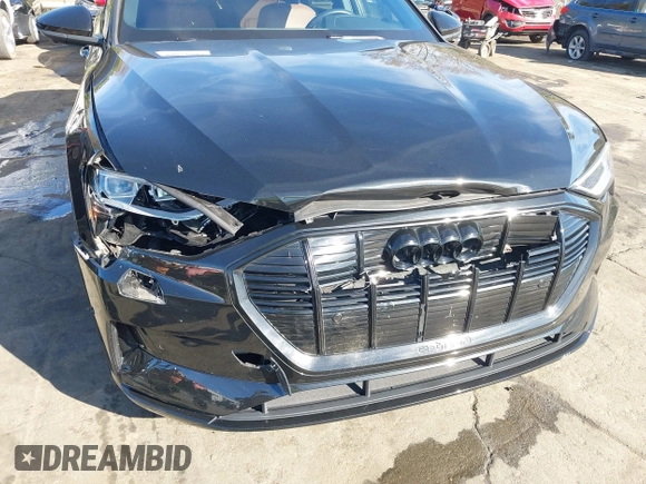 2022 Audi e-tron Premium with VIN WA1AAAGE6NB029002, listed as a IAAI auction lot 40856287 with 60,240 mi miles. Bid and sale history available at carsss.com. Image 6.