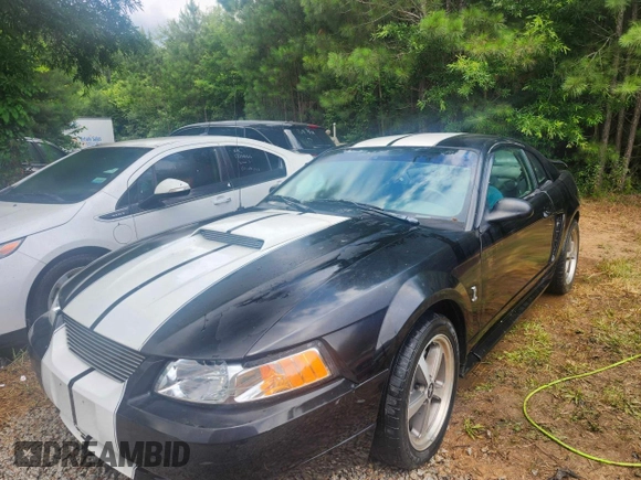 2002 Ford Mustang Standard with VIN 1FAFP40412F170034, listed as a Copart auction lot 61275825 with 174,868 mi miles and Salvage title. Bid and sale history available at DreamBid. Image 2.
