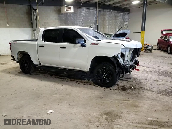 2022 Chevrolet Silverado 1500 Custom Trail Boss with VIN 3GCPDCEK8NG625750, listed as a Copart auction lot 81053304 with 33,151 mi miles and Salvage Title. Bid and sale history available at carsss.com. Image 14.