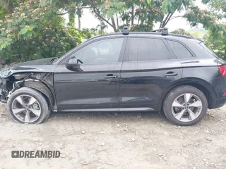 2020 Audi Q5 Premium with VIN WA1ANAFY6L2105007, listed as a IAAI auction lot 42400742 with 43,916 mi miles and . Bid and sale history available at DreamBid. Image 15.