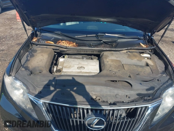2010 Lexus RX 350 with VIN 2T2BK1BA5AC052497, listed as a IAAI auction lot 42554088 with 289,008 mi miles and . Bid and sale history available at DreamBid. Image 10.