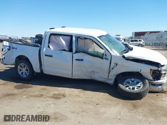 2023 Ford F-150 XL с VIN 1FTEW1EP4PFA04608, выставлен на аукционе IAAI как лот 40176213 с пробегом 80 374 миль миль и . История ставок и продаж доступна на DreamBid. Изображение 6.