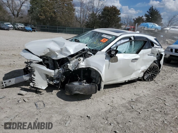 2023 Lexus RX with VIN JTJCHMAA5P2001581, listed as a Copart auction lot 49110555 with 0 mi miles and Salvage Title. Bid and sale history available at carsss.com. Image 1.