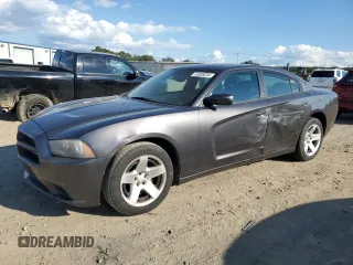 2013 Dodge Charger Police with VIN 2C3CDXAT1DH647970, listed as a Copart auction lot 73339224 with 147,574 mi miles and Salvage Title. Bid and sale history available at carsss.com. Image 1.