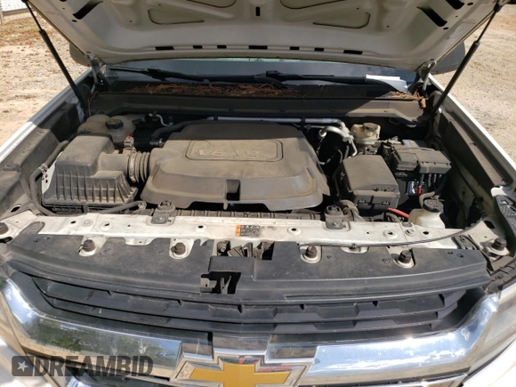 2016 Chevrolet Colorado 2WD WT with VIN 1GCHSBE37G1382687, listed as a Copart auction lot 74430914 with 119,755 mi miles and Salvage Title. Bid and sale history available at DreamBid. Image 13.