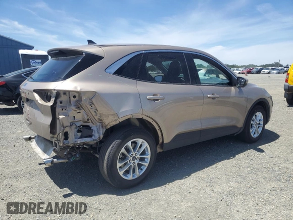 2021 Ford Escape SE with VIN 1FMCU0G66MUB34372, listed as a Copart auction lot 56595405 with 42,355 mi miles and Salvage title. Bid and sale history available at DreamBid. Image 3.