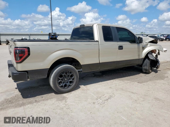 2009 Ford F-150 STX with VIN 1FTRX12W79KC78227, listed as a Copart auction lot 62272975 with 189,516 mi miles and Salvage title. Bid and sale history available at DreamBid. Image 3.