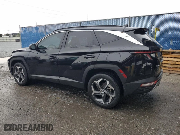 2024 Hyundai Tucson Limited с VIN 5NMJECDE6RH302256, выставлен на аукционе Copart как лот 46800995 с пробегом 13 584 миль миль и На запчасти • Non repairable. История ставок и продаж доступна на DreamBid. Изображение 2.