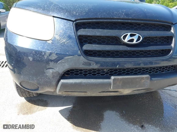 2009 Hyundai Santa Fe GLS with VIN 5NMSG13D39H241332, listed as a IAAI auction lot 42009902 with 192,929 mi miles. Bid and sale history available at carsss.com. Image 12.